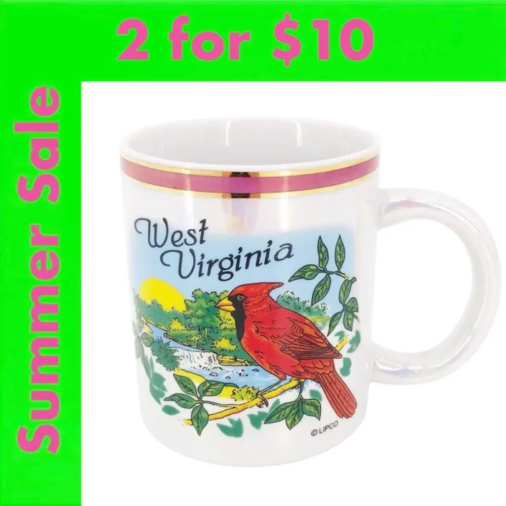 80s West Virginia souvenir coffee mug 1980s vintage SALE